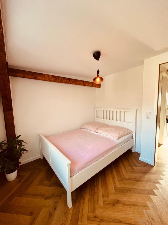 Jugendstil-Altbauwohnung Mit Dachterrasse Direkt An Der Karlsaue Kassel Exteriér fotografie